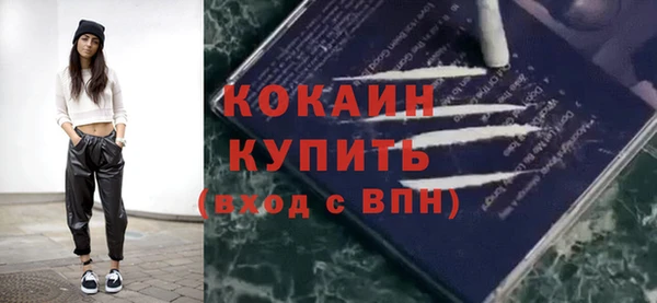 эйфоретик Богданович