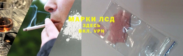 эйфоретик Богданович