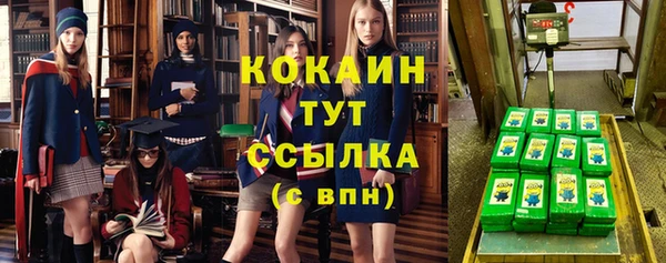 эйфоретик Богданович