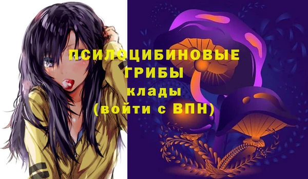 эйфоретик Богданович