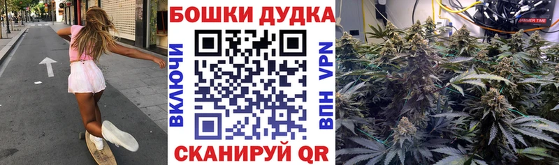 Бошки Шишки сатива  Купить закладки  Лакинск 